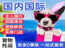 丹东机场货运国际宠物托运 【国
